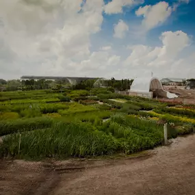 Bild von Superior Garden Center