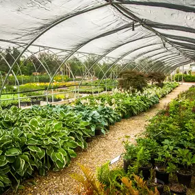 Bild von Superior Garden Center