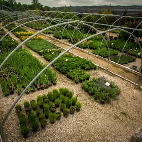 Bild von Superior Garden Center