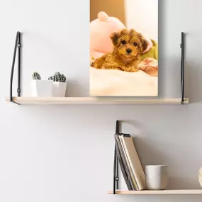 Bild von Pictures Plus - Kahala