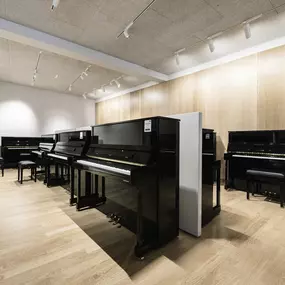 Bild von PIANO-FISCHER Musikhaus - München