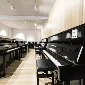 Bild von PIANO-FISCHER Musikhaus - München