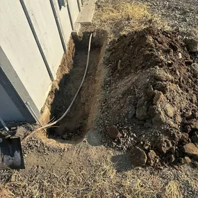 Bild von All Natural Pest Elimination