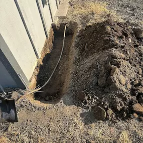 Bild von All Natural Pest Elimination