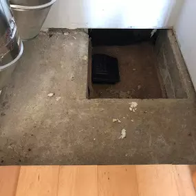 Bild von All Natural Pest Elimination