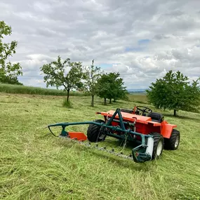 Bild von Dienstleistungen Wolfgang Kiendl