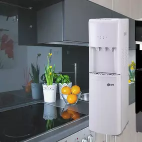 303382741-0-E8VD1uYj4y1747727764461.jpeg