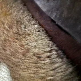 Bild von Netcom Solutions & Services Ltd