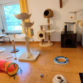 Bild von Hunde & Katzenhotel Susi & Strolch