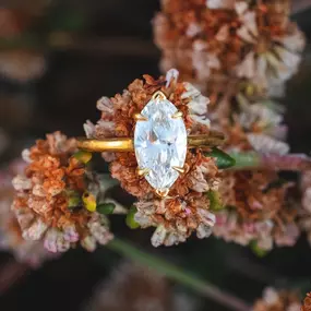 Bild von Gotham City Jewelers
