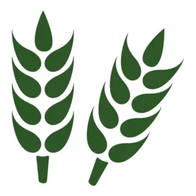 Bild von AgrarPartner-Beratung und Service GmbH