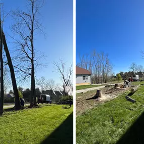 We recently helped this homeowner with our tree removal service. He had 3 trees that needed to be removed. They were all in close proximity to the house. But our highly-skilled and trained team were able to bring down all 3 trees safely by the end of the day. If you have a hazardous or unwanted trees that needs removed, we can help.
