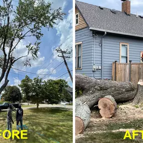 Sometimes we have to bring down trees that are in difficult places. Here, for example, these power lines provided a real challenge. But with our expert team, we were able to remove this tree without ever touching a wire. Do you have a tree that needs removed but it's in a tight spot? We can help. Visit our website to learn more.