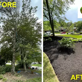 This job in Loveland involved removing one of two trees from a landscaping bed. The we cleaned up the debris, reshaped the bed, and finished it with mulch. It's a complete transformation and we do this type of project everyday. Do you want to clean up your yard? We can help. Visit our website to see our services.