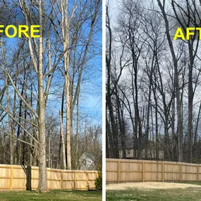We removed this tree back in the spring on a cold, clear day. This project involved taking the tree down limb-by-limb, then grinding the stump. The only think remaining was saw dust. Do you have a tree that needs removed? We can help. Visit our website to learn more.
