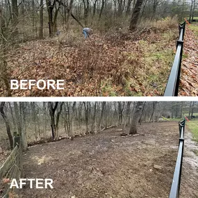 Last spring, we were hired by a homeowner to clean up an area behind his backyard fence. We had to clear a lot of heavy brush, grass, vines and weeds. But we eventually got it all cleared. Need help cleaning up your property. Visit our website to see how we can help.