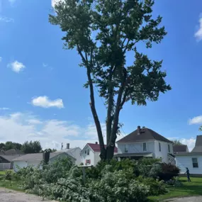 This was a really big tree. We took it down last summer at this Cincinnati home. With a tree of this size, the trick is to make sure the limbs fall where you want them to, and not on homes, out buildings or vehicles. Fortunately, we have that experience. Do you have a tree that needs to be removed? We can help. Visit our website to learn more.