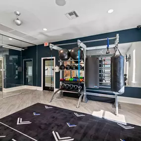 A black and white rug with arrows on it is in the middle of a room with a punching bag and a mirror