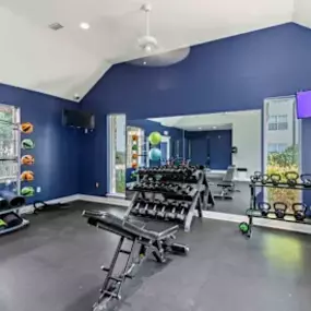 Fitness center with weights and cardio equipment