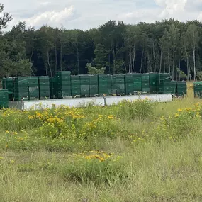 Bild von Bienen-Schloss-Manufaktur GbR
