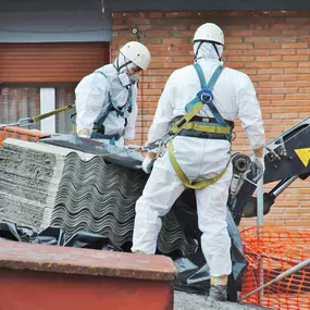 Bild von SOTEX Dienstleistungen UG (haftungsbeschränkt)