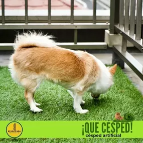 Bild von Esypa Casa Reformas Integrales