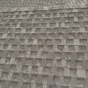 Bild von Hass Roofing Since 1978