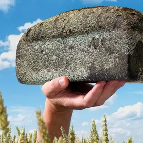 Echte Bakker Ewals