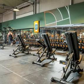 Bild von Basic-Fit
