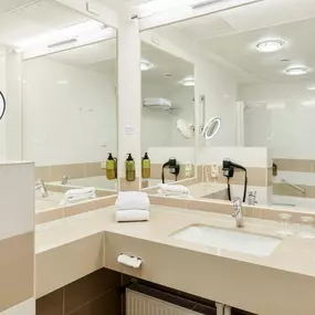Superior Room bathroom