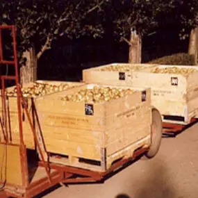 Woonzorgvilla Hart van Zwaag