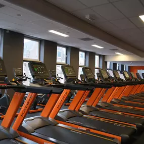 Bild von Basic-Fit 24/7