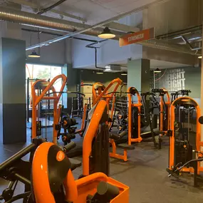 Bild von Basic-Fit