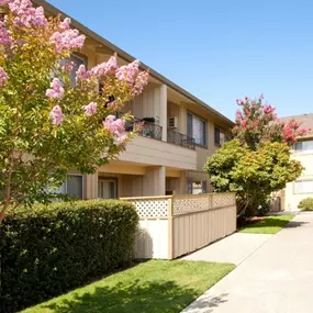 Bild von Maplewood