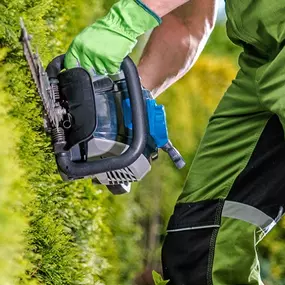 Bild von Clean Optimal Gebäudereinigung GmbH