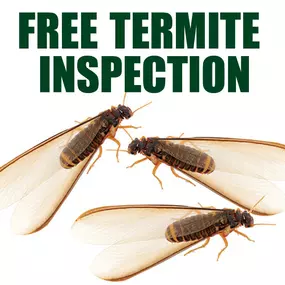 Free termite inspection