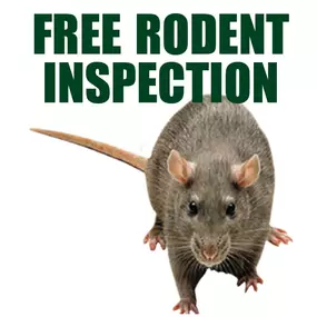 Free rodent Inspection
