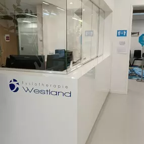 Bild von Fysiotherapie Honselersdijk