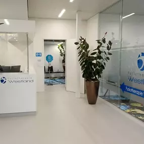 Bild von Fysiotherapie Honselersdijk