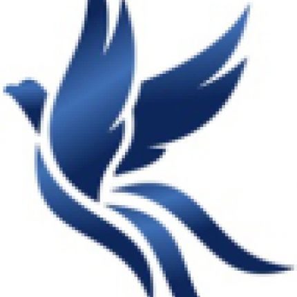Logo da Phoenix Finanz