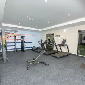 Health club  fitness center  gym