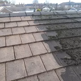 Bild von Pinnacle Roofing & Property Maintenance
