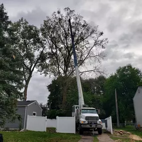 Crane-assisted tree removal in progress at a residential home in Farmington Hills, MI.