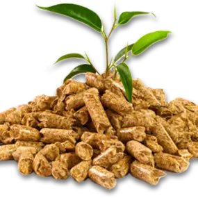 pelletplant.png