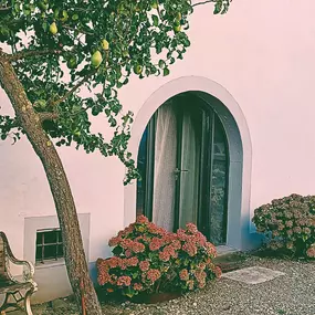 Bild von Marion Duffy - All About Wedding