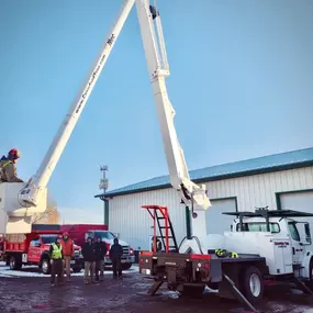 Cranes and bucket trucks in action on a large-scale tree removal job.