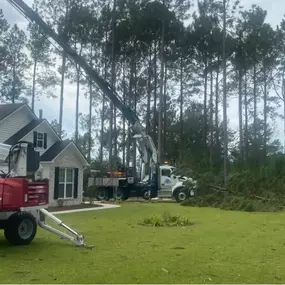 Image of land clearing services in Tupelo, MS