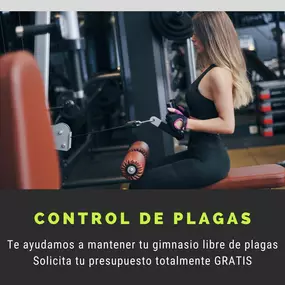 229529425-1-k11qwfS8dj1643462396127.jpeg