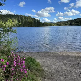 Bild von BergOase-Apart am Feldberg