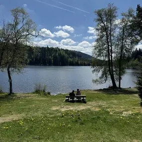 Bild von BergOase-Apart am Feldberg
